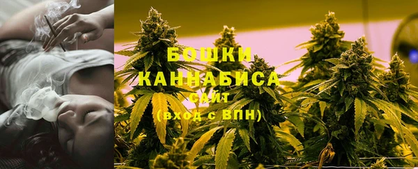 гидра Наволоки