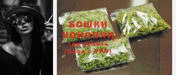 прущие грибы Покровск