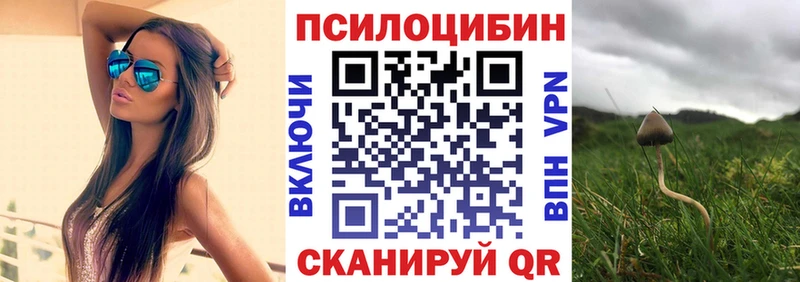 что такое наркотик  Коркино  Псилоцибиновые грибы GOLDEN TEACHER 